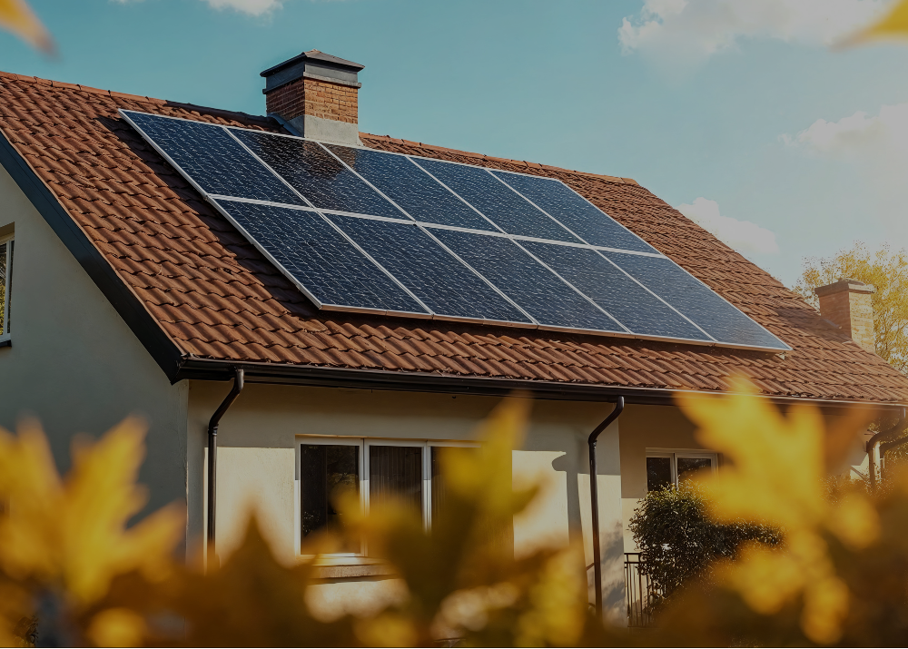 Renewable Energy